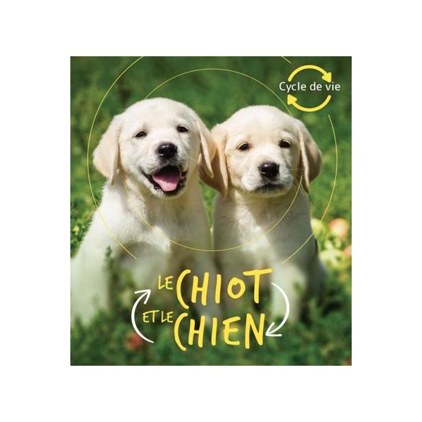 Le chiot et le chien