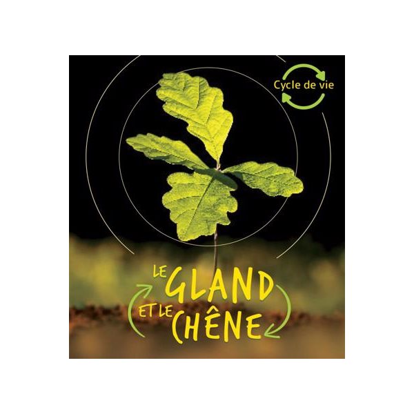 Le gland et le chêne