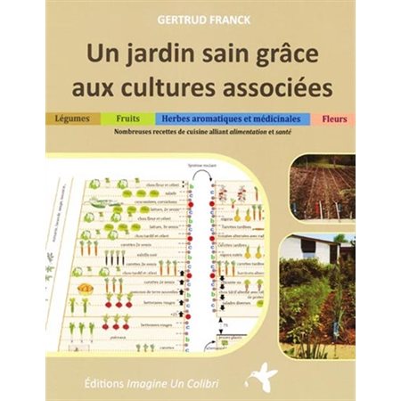 Un jardin sain grâce aux cultures associées