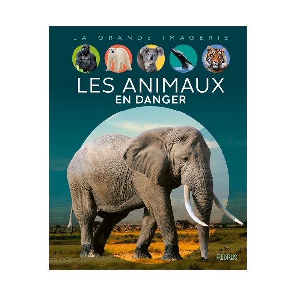 Les animaux en danger