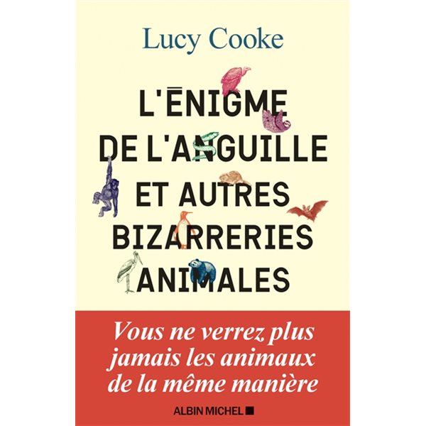 L'énigme de l'anguille