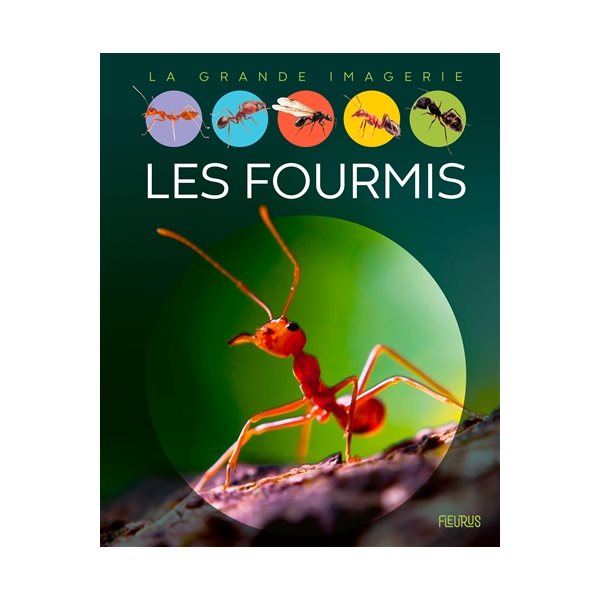 Les fourmis