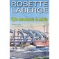 Le défi de la démesure, Tome 2, Un bonheur à bâtir