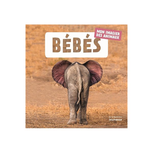 Bébés