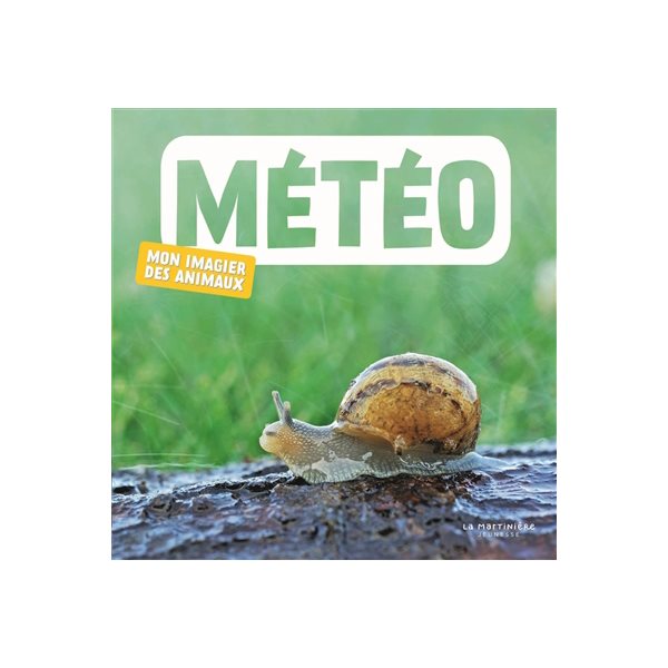 Météo