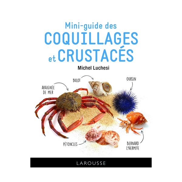 Mini-guide des coquillages et crustacés