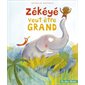 Zékéyé veut être grand, Zékéyé