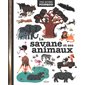 La savane et ses animaux