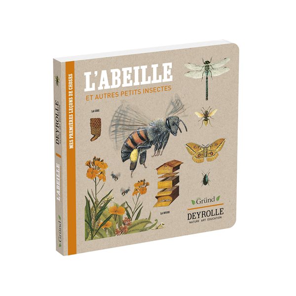 L'abeille, Mes premières leçons de choses