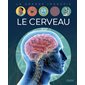 Le cerveau