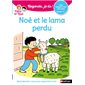 Noé et le lama perdu