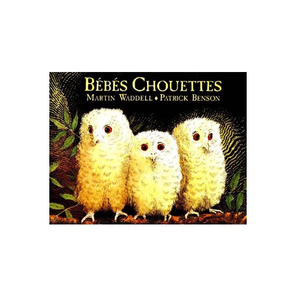 Bébés chouettes