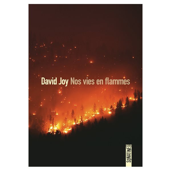 Nos vies en flammes