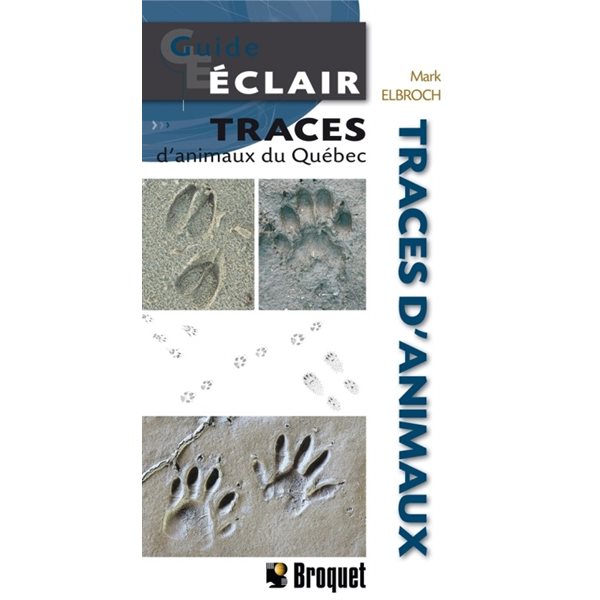 Traces d'animaux