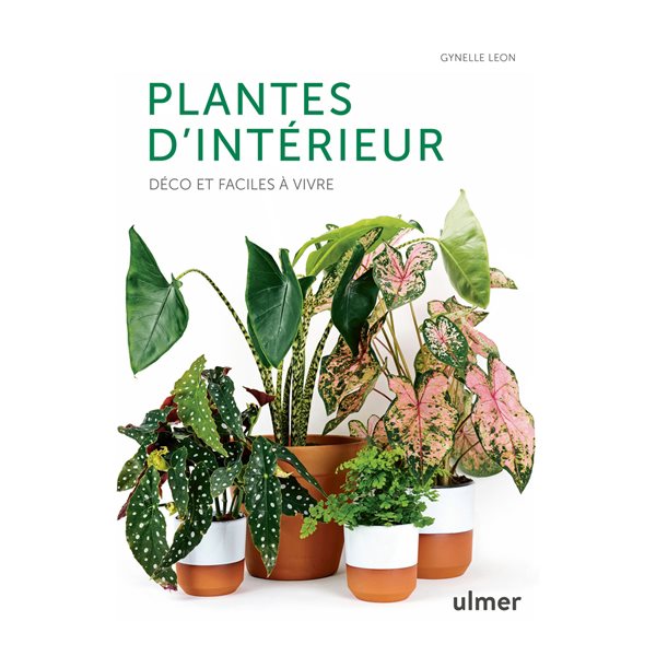 Plantes d'intérieur