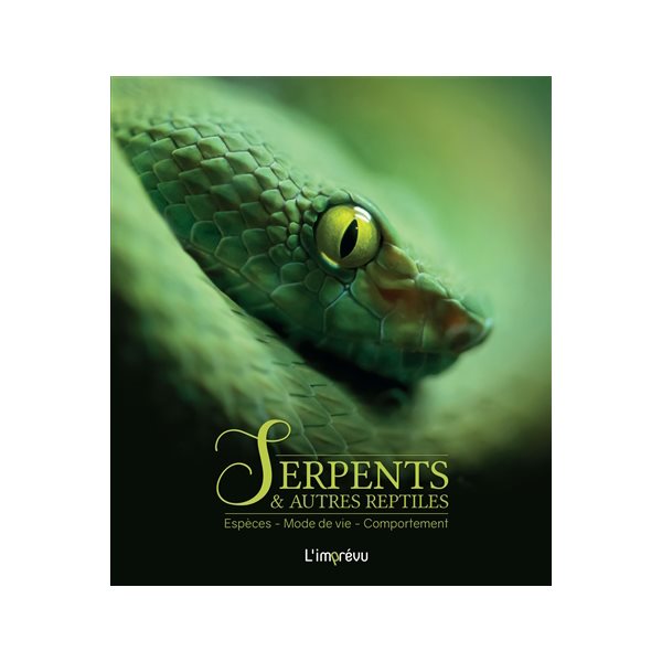 Serpents & autres reptiles : espèces, mode de vie, comportement