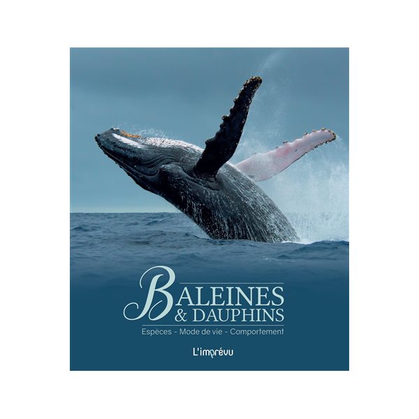 Baleines & dauphins : espèces, mode de vie, comportement