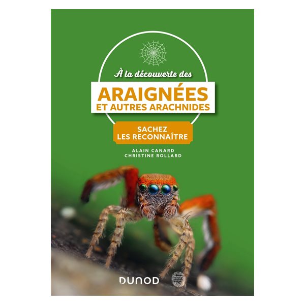 A la découverte des araignées et autres arachnides : sachez les reconnaître