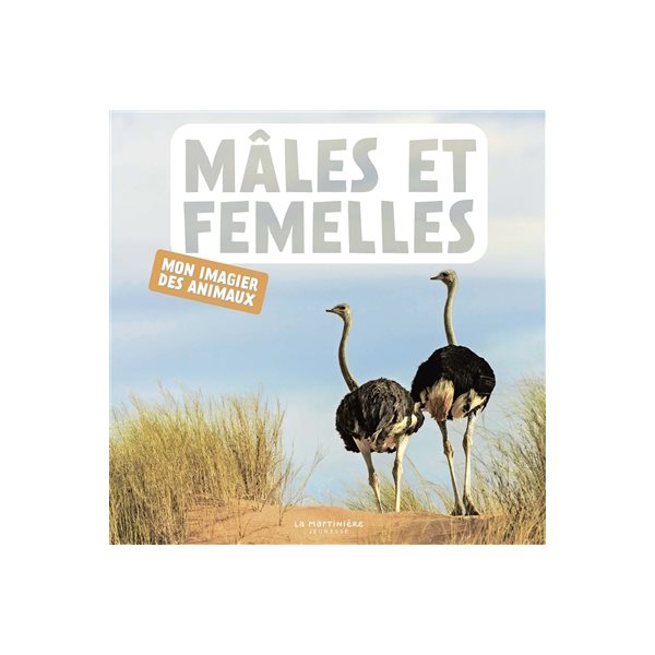 Mâles et femelles : mon imagier des animaux