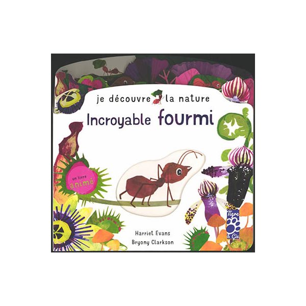 Incroyable fourmi