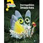 Incroyables insectes