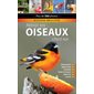 Attirer les oiseaux chez soi