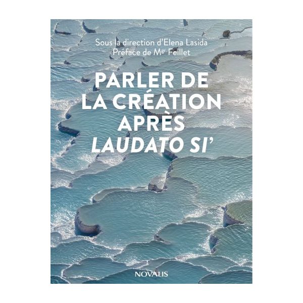 PARLER DE LA CREATION APRES LAUDATO SI