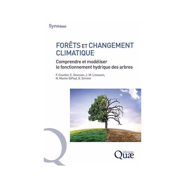 Forêts et changement climatique : comprendre et modéliser le fonctionnement hydrique des arbres