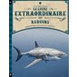 Le livre extraordinaire des requins