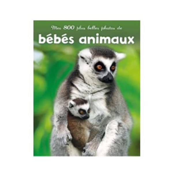 Mes 800 plus belles photos de bébés animaux