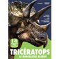 Tricératops : le dinosaure blindé