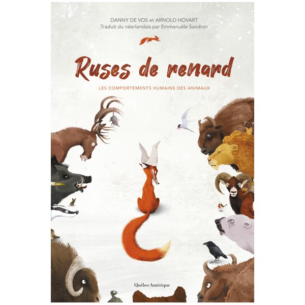 Ruses de renard : Les comportements humains des animaux