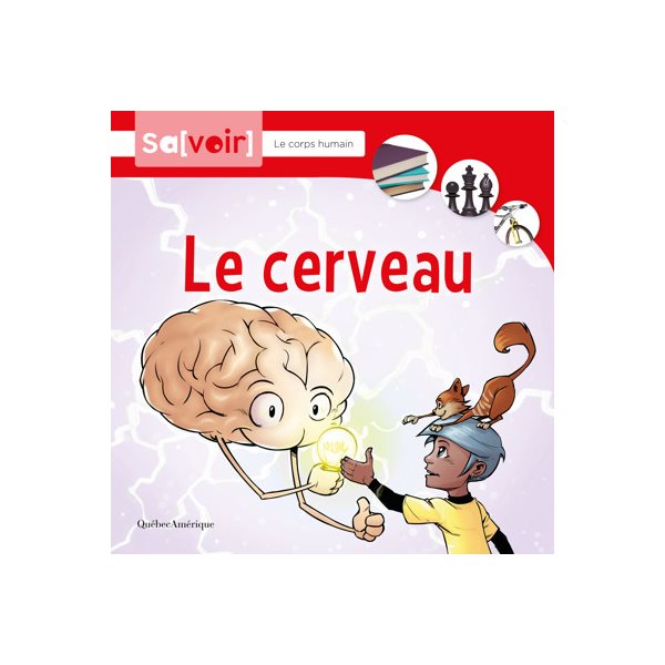 Le cerveau