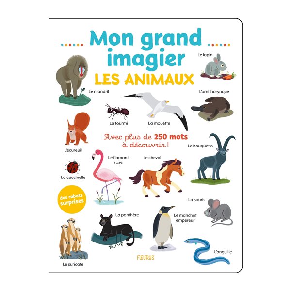 Les animaux : mon grand imagier