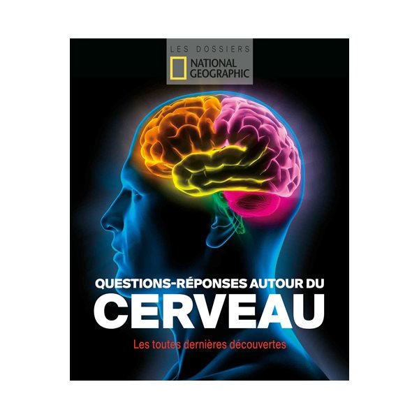 Questions-réponses autour du cerveau : les toutes dernières découvertes