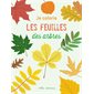 Je colorie les feuilles des arbres