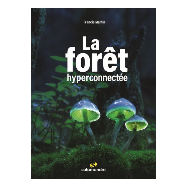 La forêt hyperconnectée