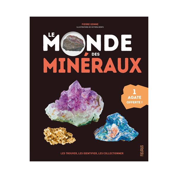 Le monde des minéraux : les trouver, les identifier, les collectionner