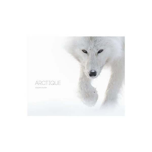 Arctique