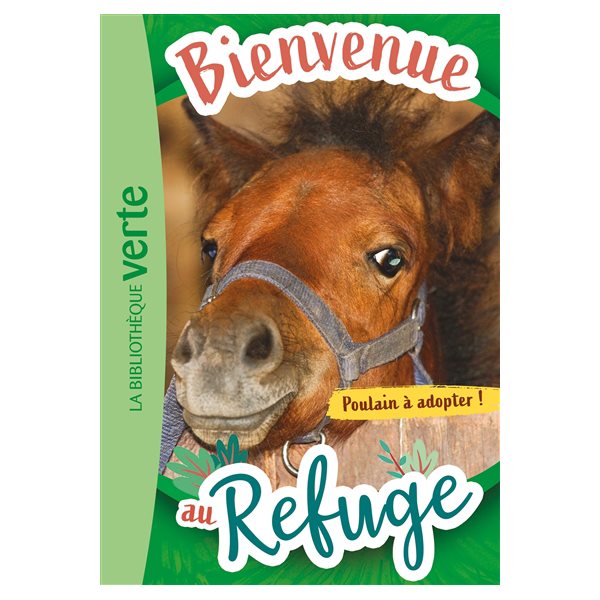 Poulain à adopter !, Tome 3, Bienvenue au refuge