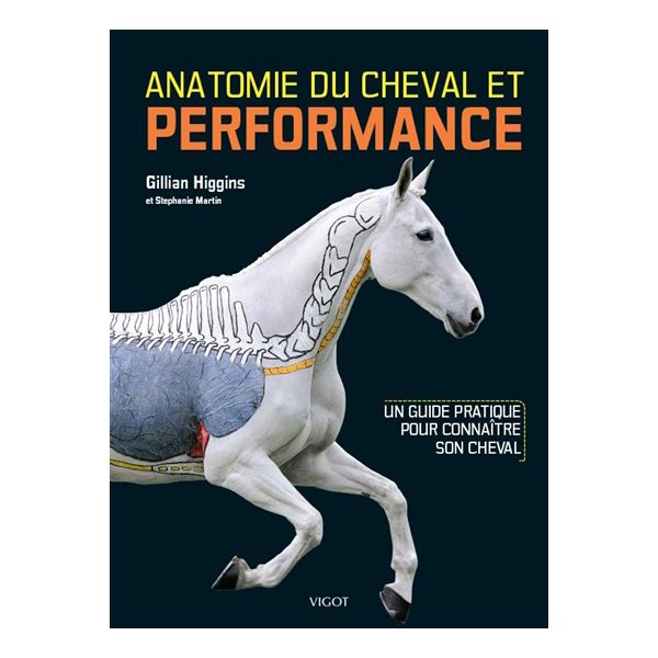 Anatomie du cheval et performance : un guide pratique pour connaître son cheval