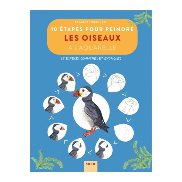 10 étapes pour peindre les oiseaux à l'aquarelle : 25 espèces communes et exotiques