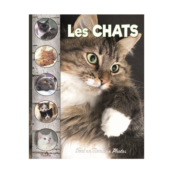 Les chats