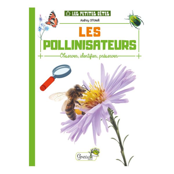 Les pollinisateurs : observer, identifier, préserver
