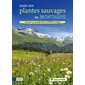 Guide des plantes sauvages en montagne : découverte, identification, cueillette et usages