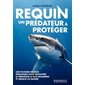 Requin : un prédateur à protéger