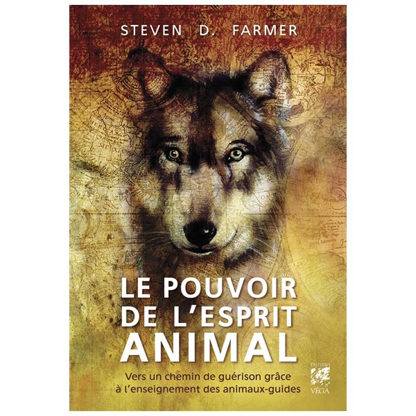 Le pouvoir de l'esprit animal : manuel pratique pour connaître et comprendre vos animaux de pouvoir et les ressources des animaux aidants