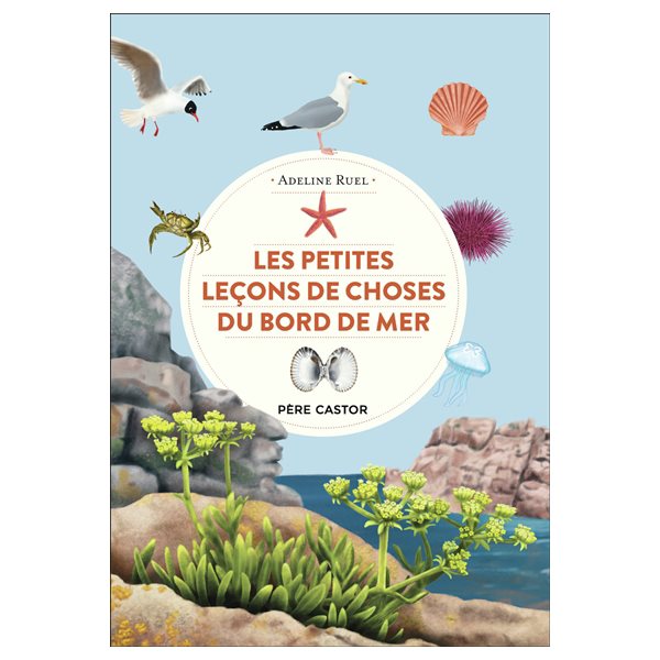 Les petites leçons de choses du bord de mer