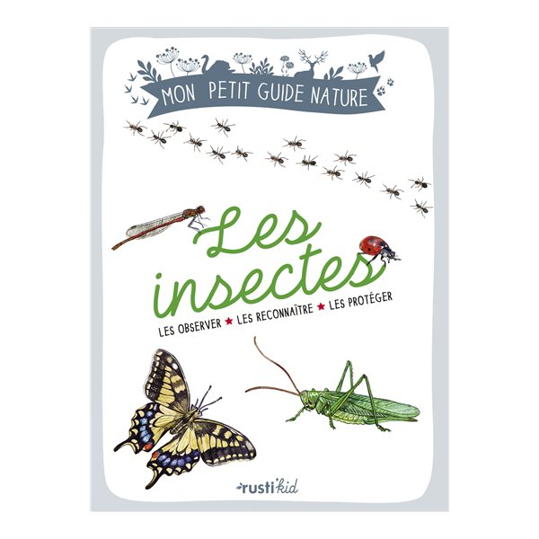 Les insectes : les observer, les reconnaître, les protéger