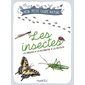 Les insectes : les observer, les reconnaître, les protéger